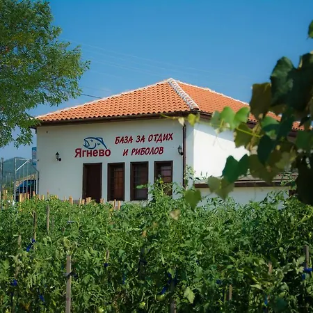Yagnevo Complex Yagnevo